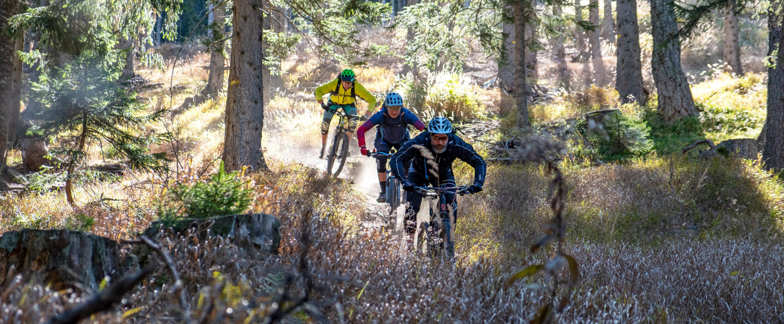 Mountainbike Trail Camps